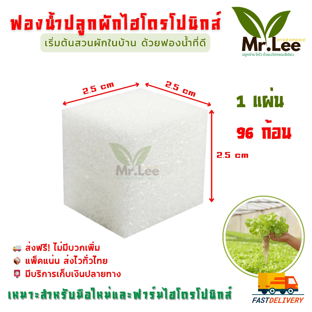 (แพ็ค 5 แผ่น)ฟองน้ำปลูกผักไฮโดรโปนิกส์ Hydroponic Sponge สำหรับเพาะเมล็ดผักสลัด