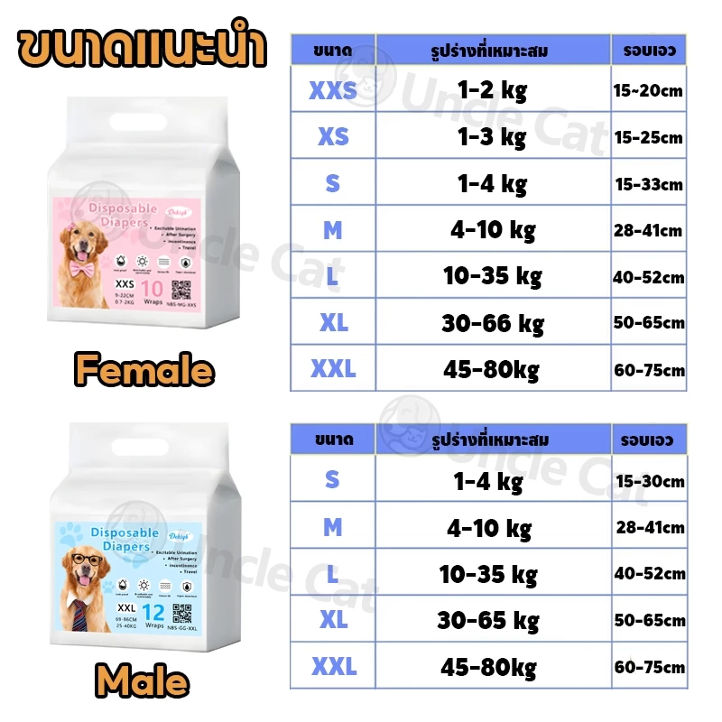 ผ้าอ้อมสุนัขใช้แล้วทิ้ง 10/12 ชิ้น ตัวผู้-ตัวเมีย ดูดซับดี thumbnail 3