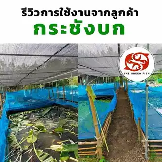 ส่งฟรี- กระชังบก ความสูงผ้ายาง 50 ซม. ต่อมุ้งฟ้า เลี้ยงปลา กบ หอย ปู หนา 0.3 mm ผลิตจากโรงงานโดยตรง
