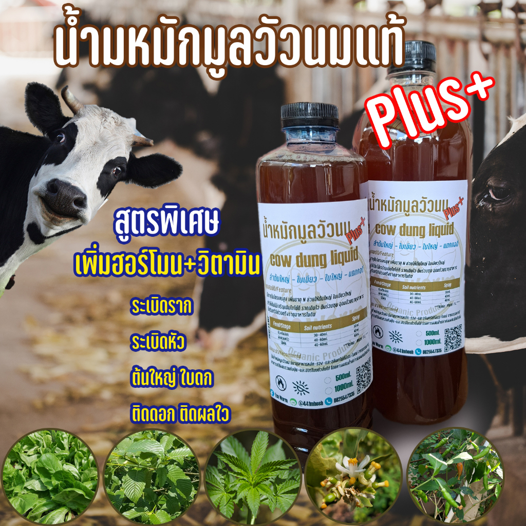 ปุ๋ยอินทรีย์ น้ำหมักชีวภาพ มูลวัวนม+ สูตรเข้มข้น
