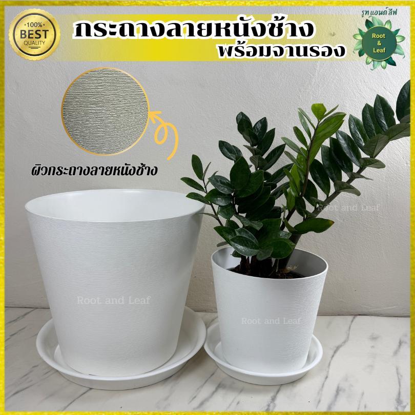 กระถางลายหนังช้างพร้อมจานรอง กระถางมินิมอล ตกแต่งบ้าน แต่งคอนโด กระถางใส่ต้นไม้ กระถางพลาสติก