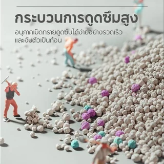 FOLOPETS ทรายแมว 5 ลิตร กลิ่นเบนโทไนท์ 100% ป้องกันการเจริญเติบโตของแบคทีเรีย