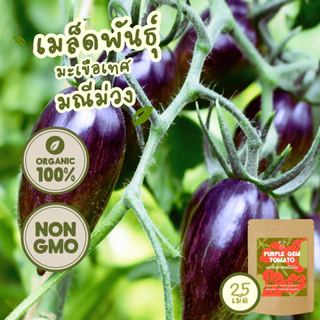เมล็ดพันธุ์ มะเขือเทศ 100%ออร์แกนิค Non-GMO เกรดพรีเมี่ยม (Organic Tomato Seeds) [ซื้อ 5 แถม 1!]