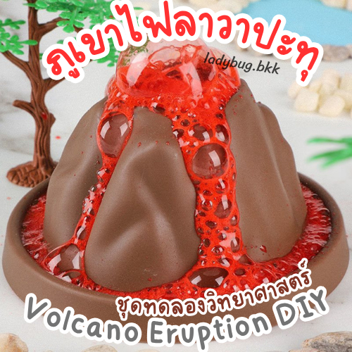 Ladybug ภูเขาไฟลาวาปะทุ ชุดทดลองวิทยาศาสตร์ ของเล่นวิทยาศาสตร์​ ของเล่นเด็ก 🌋Volcano Eruption DIY🌋