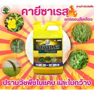 คายีซาเรส(เหลือง) 4 ลิตร ยกลัง มี 6 แกลลอน กลูโฟซิเนต-แอมโมเนียม 15% กำจัดหญ้าใบแคบและใบกว้างได้