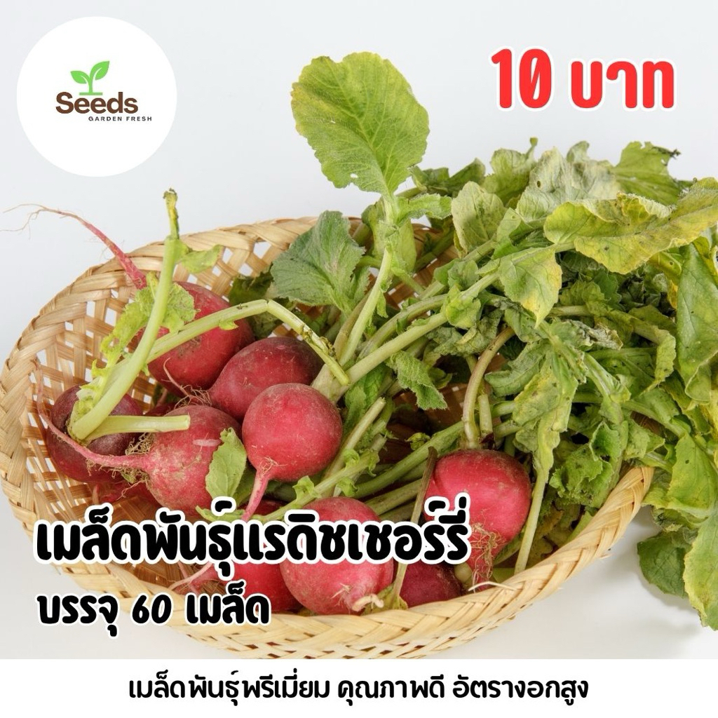 เมล็ดพันธุ์แรดิชเชอร์รี่ บรรจุ 60 เมล็ด/ซอง