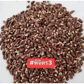 เมล็ดพันธุ์ถั่วฝักยาวพิจิตร 3 พันธุ์ดก 50 เมล็ด 39 บาท