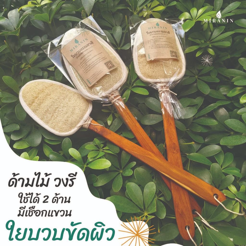 ใยบวบขัดหลัง ไม้ขัดหลัง วงรี 2 ด้าน ด้ามไม้แข็งแรง