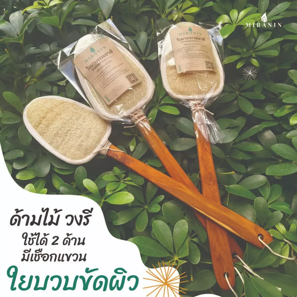 ใยบวบขัดหลัง ไม้ขัดหลัง วงรี 2 ด้าน ด้ามไม้แข็งแรง