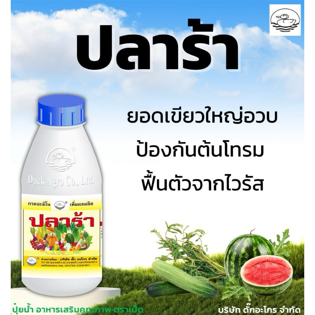ดั๊กปลาร้า (อะมิโน แอซิด) ยอดเขียวใหญ่อวบ ป้องกันต้นโทรม ขนาด 1 ลิตร