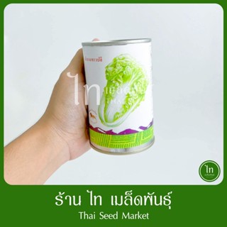 ผักกาดขาวปลี พันธุ์เบา เก็บได้เร็ว เมล็ดพันธุ์ผักกาด ขาวปลี …