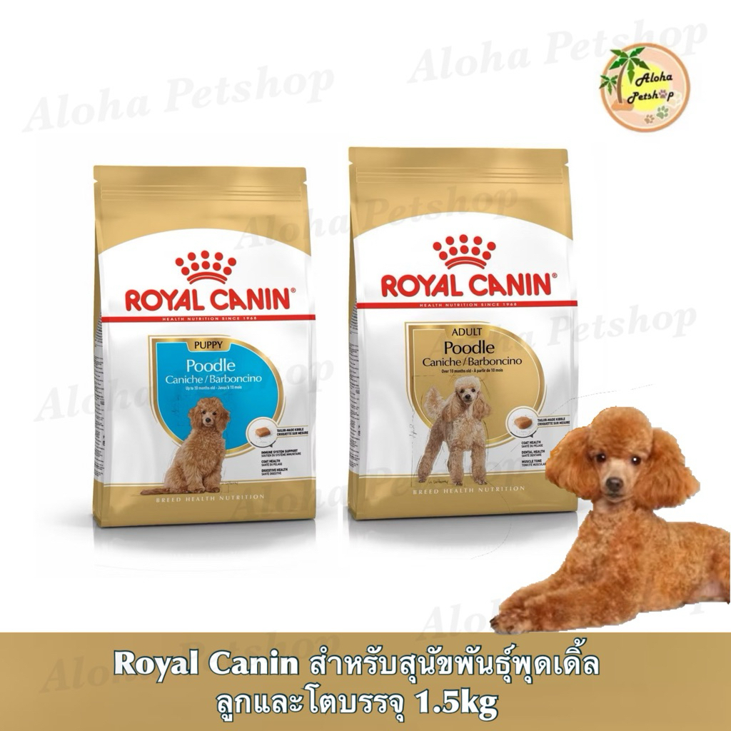 Royal Canin 🐶Poodle สำหรับสุนัขพันธุ์พุดเดิ้ล ลูกสุนัข, สุนัขโต ชนาด 1.5kg