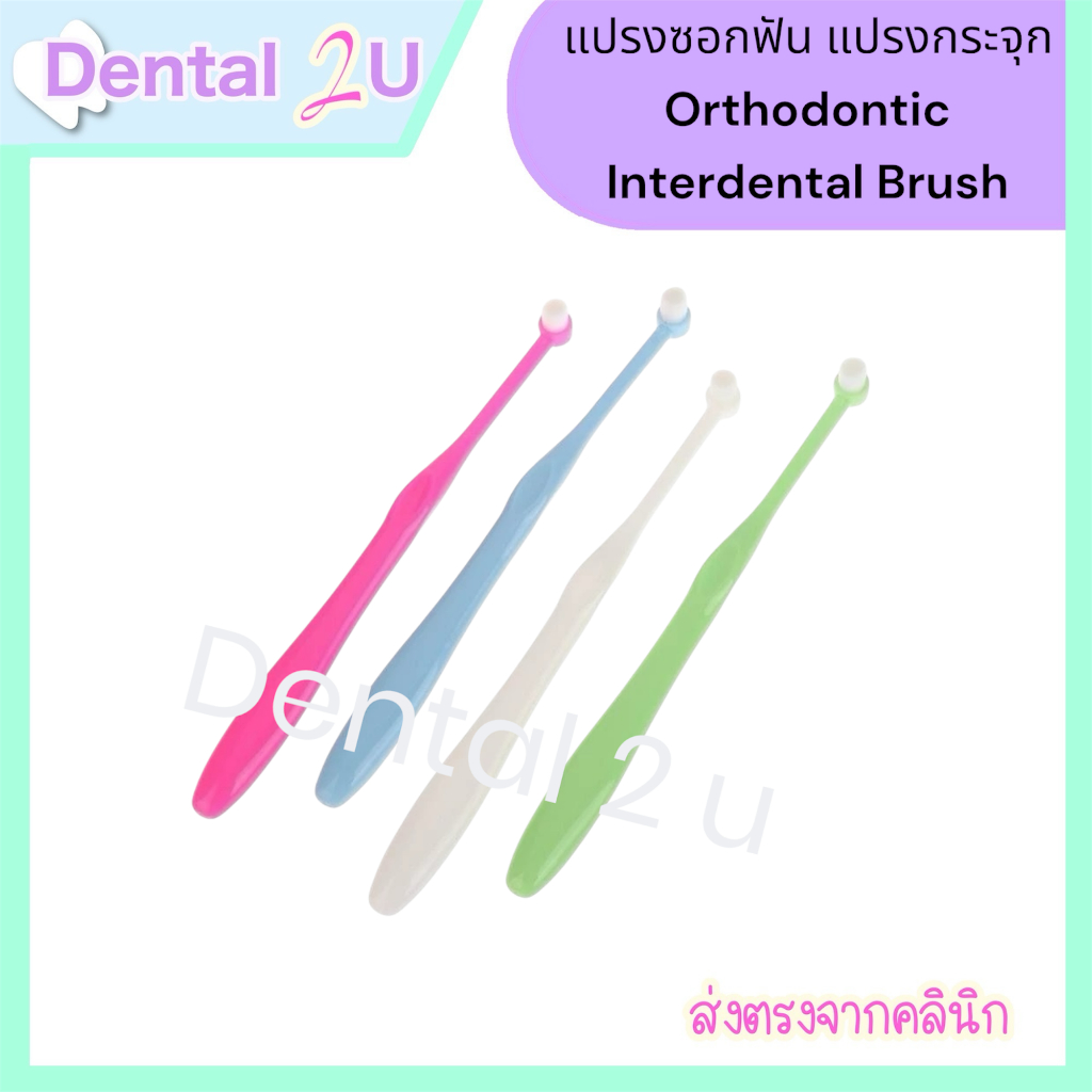 แปรงกระจุก หัวตัด สำหรับจัดฟัน Orthodontic tuft Brush (Single-Beam) แปรงสีฟันทําความสะอาดฟันขนนุ่มเฉพาะจุด