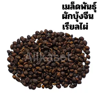 เมล็ดพันธ์ ผักบุ้งจีนเรียวไผ่ เจียไต๋