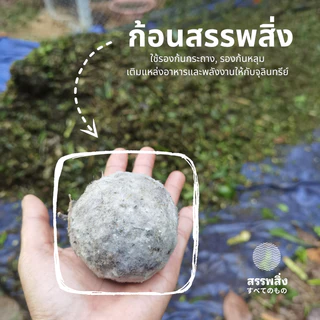 ดินฟู ~ ดินมีชีวิต | ฟื้นฟูต้นป่วย ป้องกันโรคแมลง อุดมไปด้วยจุลินทรีย์ ธาตุอาหารสูง ดินปลูกพรีเมี่ยม