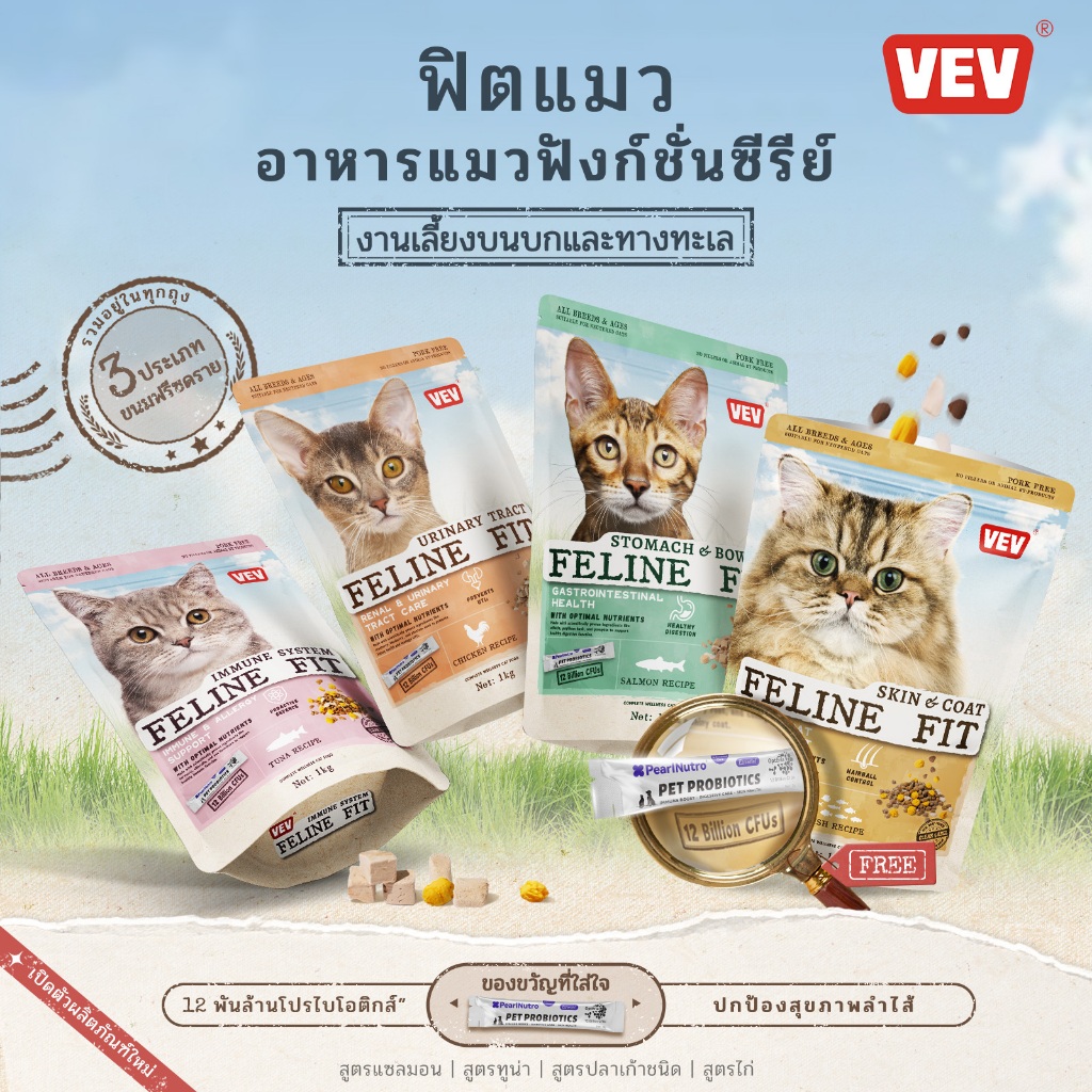 【🎁โปรไบโอติกฟรี】VEV 🐈 อาหารแมวบัซซ์ แบ่งขาย 1 kg. Premium Cat Food Gluten Free