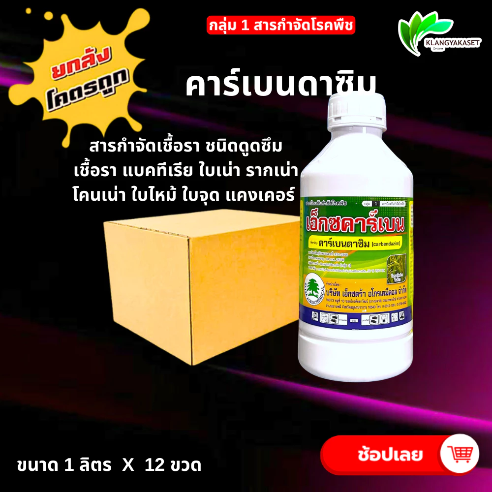 ยกลัง 12 ขวด เอ็กซ์คาร์เบน คาร์เบนดาซิม 50%1 ลิตร 💥 กำจัดโรค โรคใบไหม้โรคกาบใบแห้ง โรคใบจุดสีน้ำตาล โรคราแป้ง