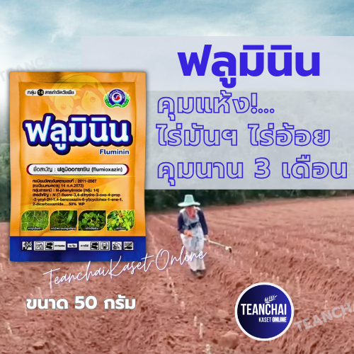 ฟลูมินิน ขนาด 50 กรัม (สินค้าผลิตใหม่ ของแท้| หญ้าข้าวนก หญ้าหางนกยูงใหญ่ ผักเบี้ยหิน | เทพวัฒนา | สารป้องกันกำจัดวัชพืช
