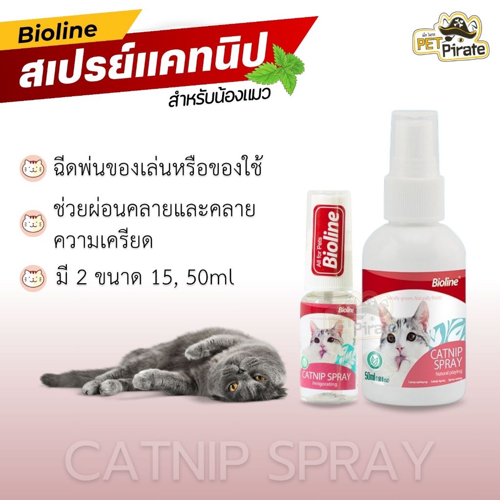 Bioline Catnip Spray สเปรย์แคทนิป สำหรับแมว ฉีดพ่นของเล่น ของใช้ ช่วยให้ผ่อนคลาย ขนาด 15ml / 50ml