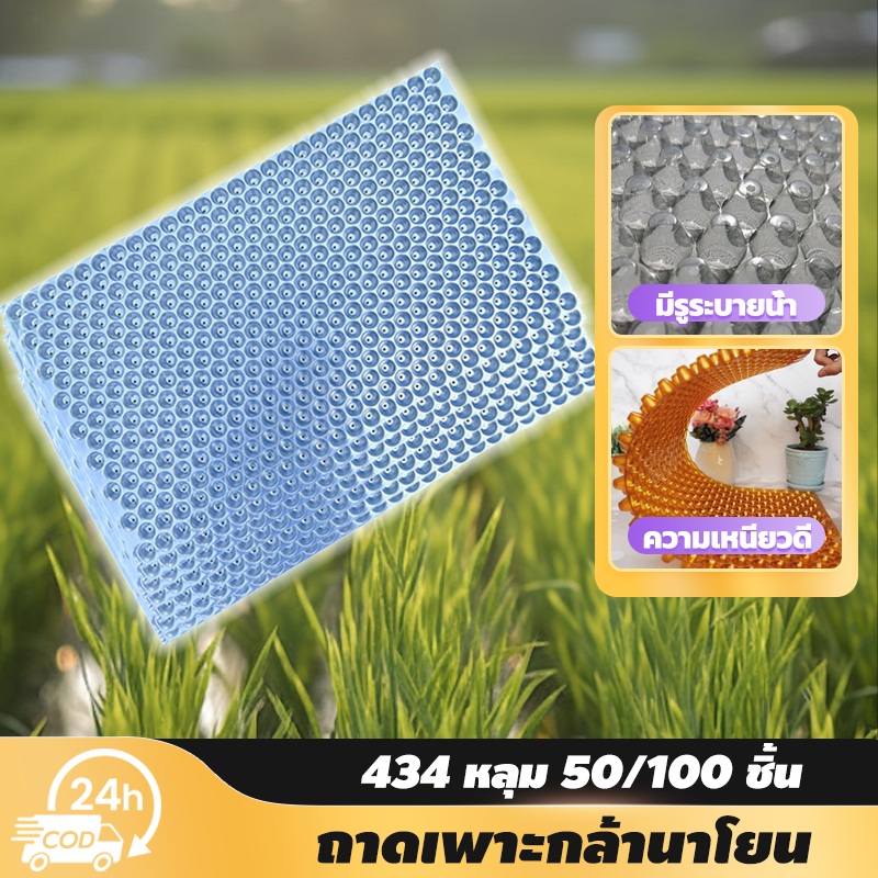 grenebo 50/100 ชิ้น (แบบหนา) ถาดเพาะกล้านาโยน 434 หลุม มีรูระบาย เหนียว ใช้เพาะเมล็ดข้าว ถาดนาโยน ป้องกันโรครากเ