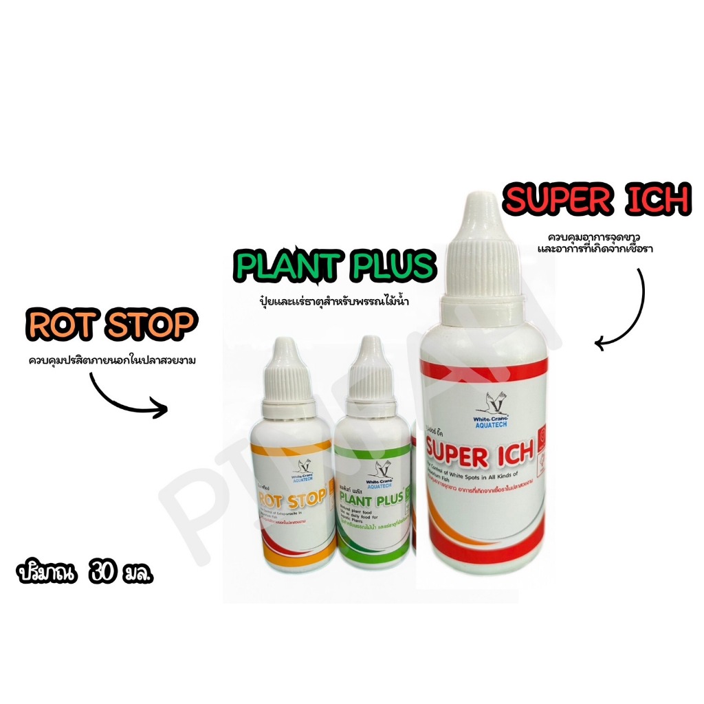 Super Ich ซุปเปอร์อิ๊ค จุดขาว เชื้อรา ครีบห่อ หางห่อ