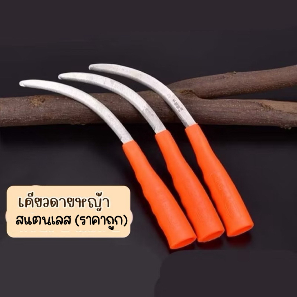 เคียวส้ม เคียวดายหญ้า นำเข้าเอง  เคียวเกี่ยวหญ้า เคียวตัดหญ้า เคียวส้ม (ราคาต่อชิ้น)