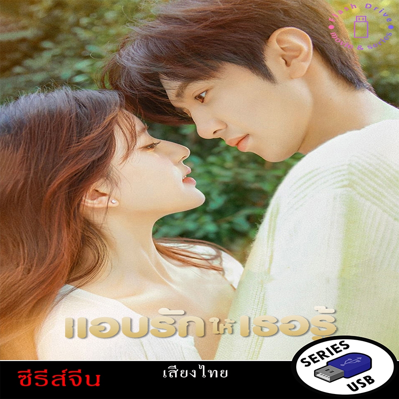 USB FlashDrive ซีรีส์จีน เรื่อง แอบรักให้เธอรู้  Hidden Love (พากย์ไทย)
