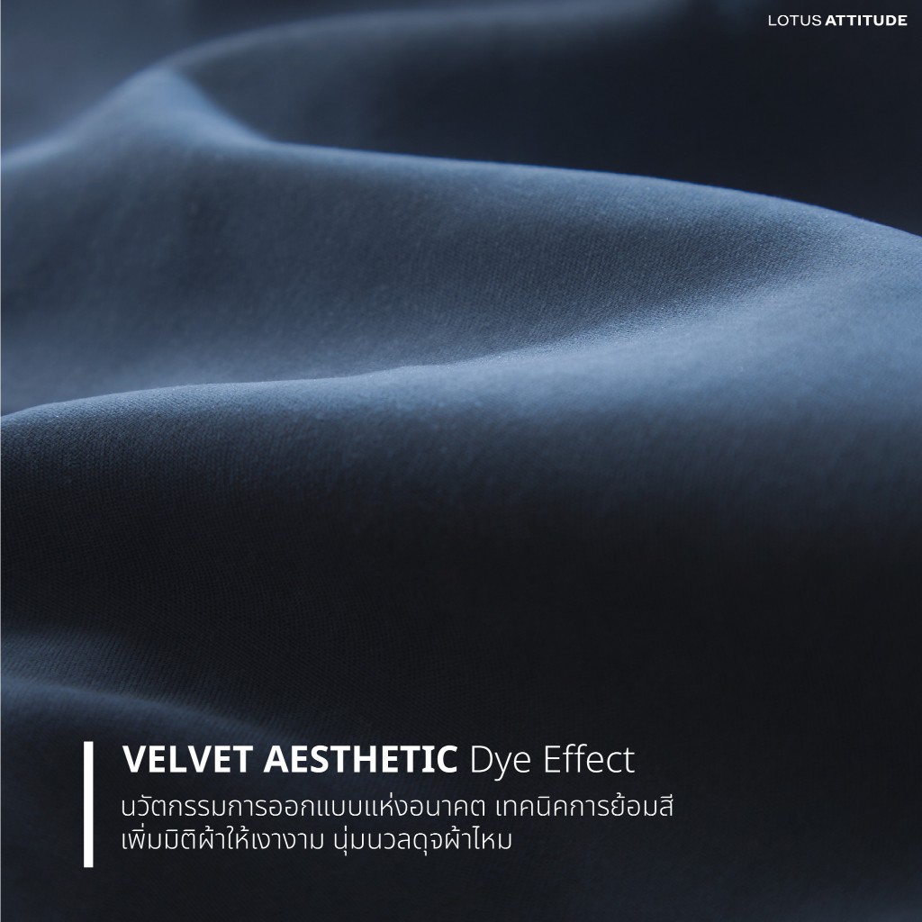 ผ้านวมเย็บติด Lotus Attitude Norden Collection ทอ990เส้น - รูปที่ 7