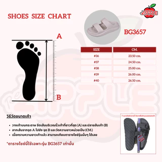 Red Apple รองเท้าแตะหูหนีบ รุ่น BG3657 #36-40