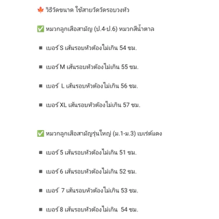 หมวกลูกเสือ และ ผ้าพันคอลูกเสือ