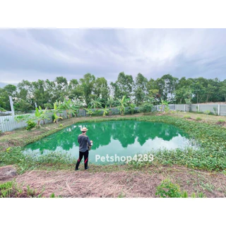สีน้ำเทียม สีเขียว 250 กรัม ผงเปลี่ยนสีน้ำเร่งด่วน ผงทำสีน้ำ สร้างน้ำในบ่อ บ่อกุ้ง บ่อปลา 1ซองต่อ 1-2 ไร่