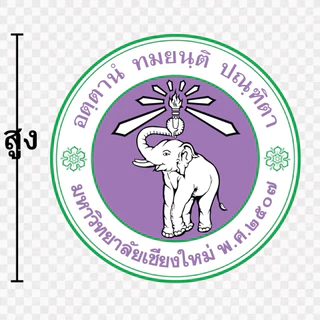 ตัวรีดติดเสื้อ DFT อาร์ม แบบเรียบ มหาลัยวิทยาลัย เชียงใหม่ ขอนแก่น นเรศวร ศรีนครินทรวิโรฒ สงขลานครินทร์ มหาสารคาม บูรพา