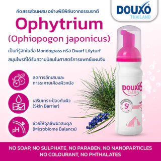 มูสสุนัขและแมว สูตรผิวแพ้ง่าย Douxo S3 Calm Mousse ลดอาการคันและการอักเสบของผิวหนัง ขนาด 150 ml. (Expire 9/2026)
