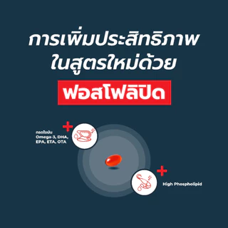 Antinol Dog แอนทินอล อาหารเสริมไขมัน บำรุงข้อ สำหรับสุนัข 5 กล่อง (300 เม็ด) Vetz Petz