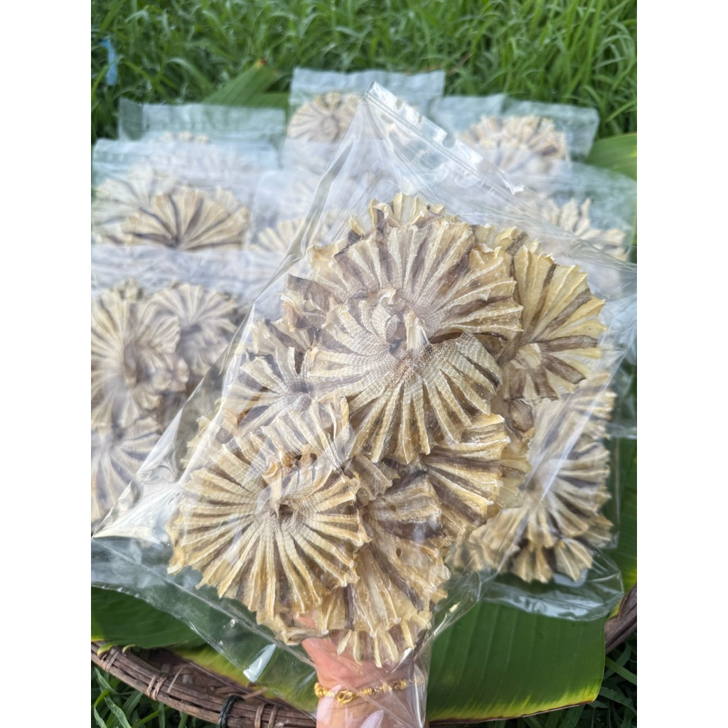 ปลาวงจิ๋ว แพ็คละ 100 กรัม