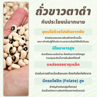 ถั่วขาวดิบ 500 กรัม ตราเสือบิน | (ฺBlack Eyed Peas)