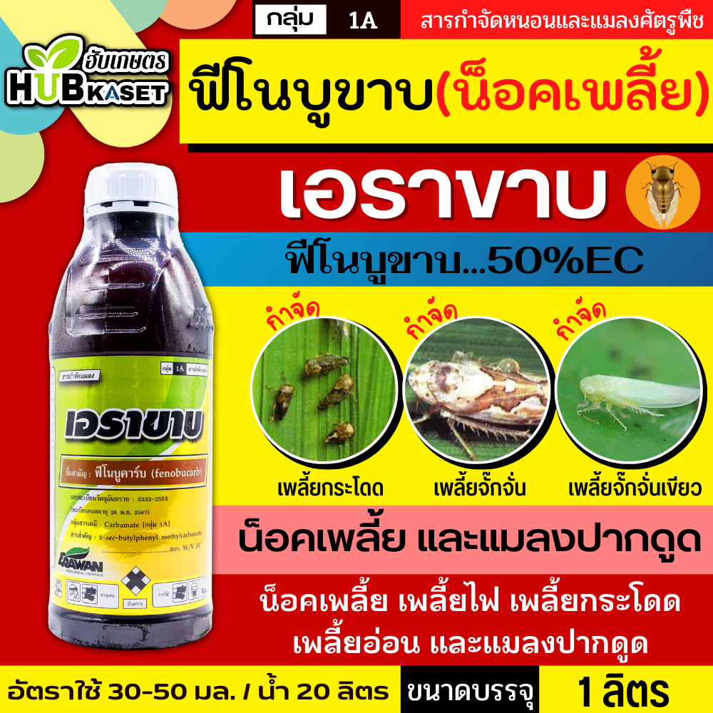 💥💥 สินค้ายกลัง 💥💥 เอราขาบ 1ลิตร*12ขวด (ฟิโนบูคาร์บ) เพลี้ยกระโดด เพลี้ยไฟ เพลี้ยไก่แจ้ มวนเขียว มวนลำไย แมลงสิง
