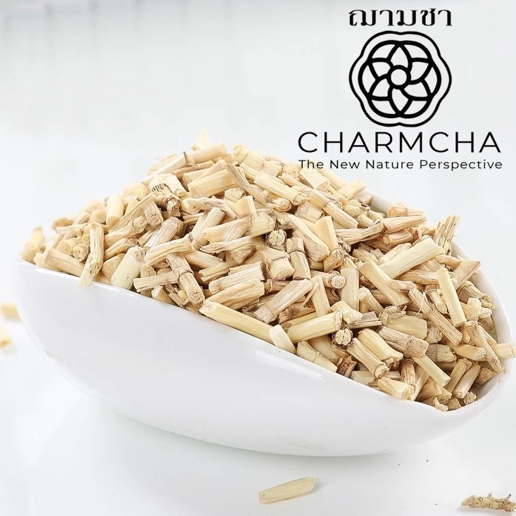 รากหญ้าคา (Cogongrass Root) สมุนไพรจากธรรมชาติที่เปี่ยมด้วยสรรพคุณ บำรุงร่างกาย ใบชา ชาดอกไม้  ของขวัญ Charmcha ฌามชา