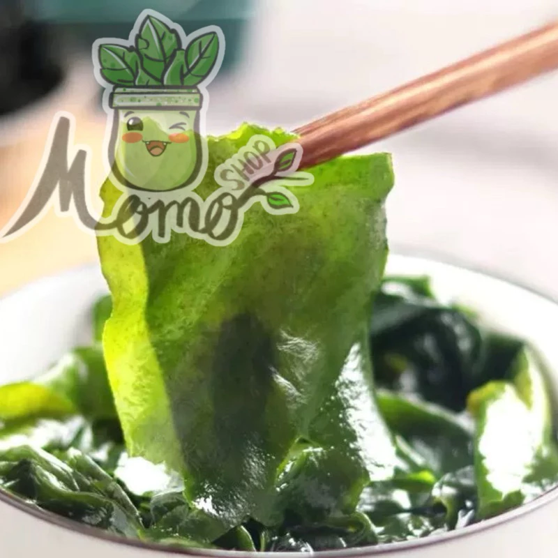 สาหร่ายวากาเมะขนาด 250g สาหร่ายทะเลอบแห้ง thumbnail 6