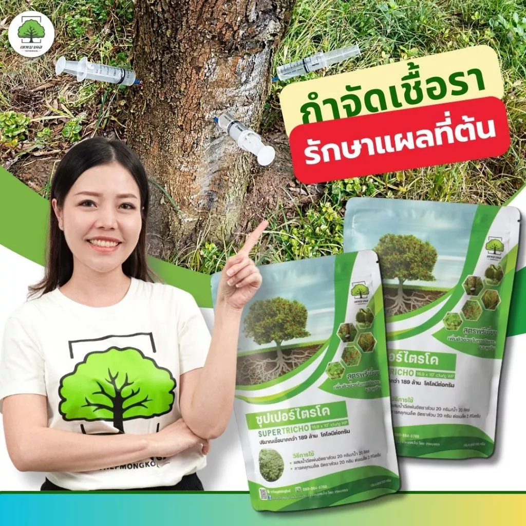 ซุปเปอร์ ไตรโคเดอร์ม่า ( 2 ซอง ) กำจัดเชื้อรา สูตรเข้มข้น เชื้อ 2 เท่า แบบผง ปลอดภัย 100 %