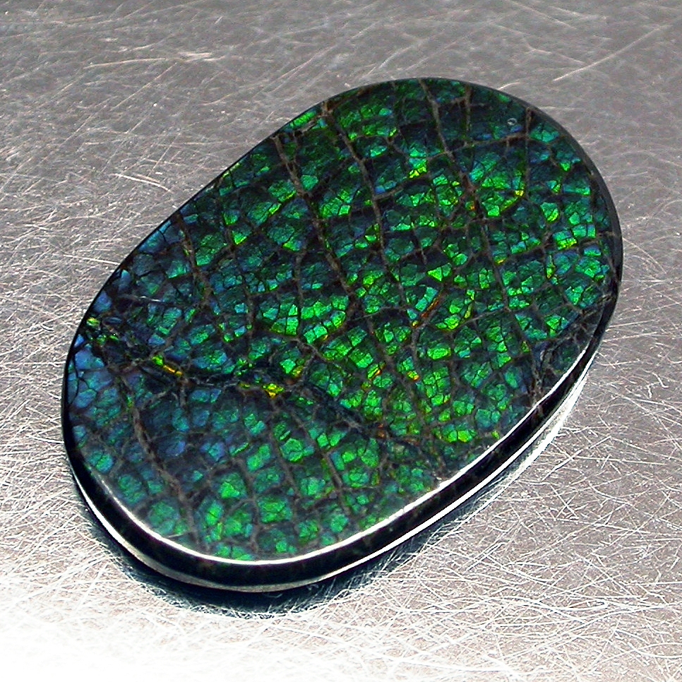 Ammolite แอมโมไลต์ (Ammolite) อัญมณีโลกล้านปีสุดหายาก อัญมณีนำโชค อัญมณีสะสม