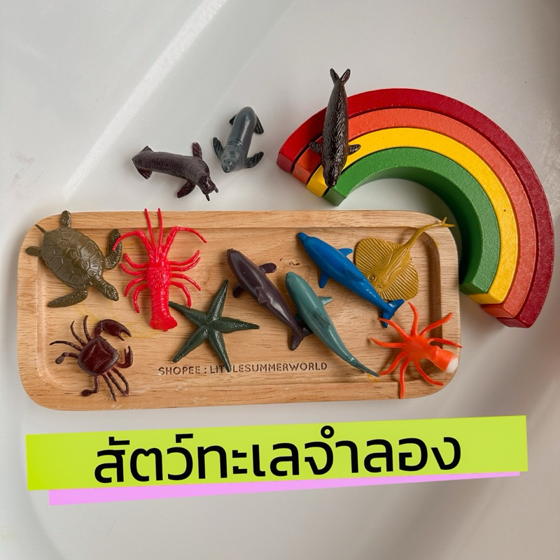 พร้อมส่ง🇹🇭 โมเดลชุดสัตว์ทะเลจำลอง 12ตัว🦞🦀🐠