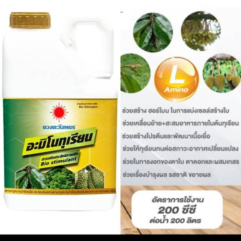 อะมิโนทุเรียน แกลลอน 5L (ดวงตะวันเพชร)