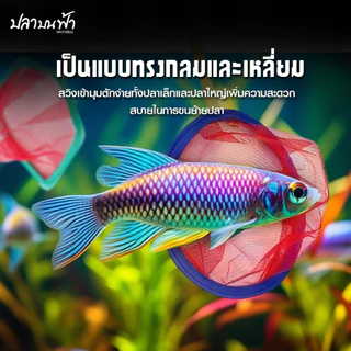 สวิงตักปลา กระชอนตักปลา แบบเหลี่ยม เข้าซอกตู้ได้เป็นอย่างดี ตาข่ายเหนียว ด้ามพีวีซี ใช้ได้ยาวนาน (คละสี) ที่ วน