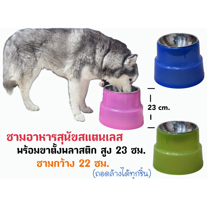 ชามอาหารสุนัข ขนาดกลาง สูง 23 ซม. ถอดล้างได้ หนา แข็งแรง