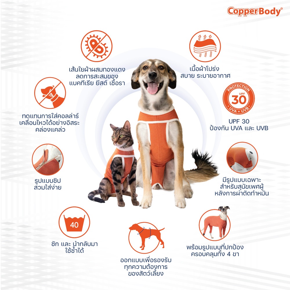 CopperBody Male Dog Castraction นวัตกรรมชุดทองแดง ใส่หลังผ่าตัดทำหมัน