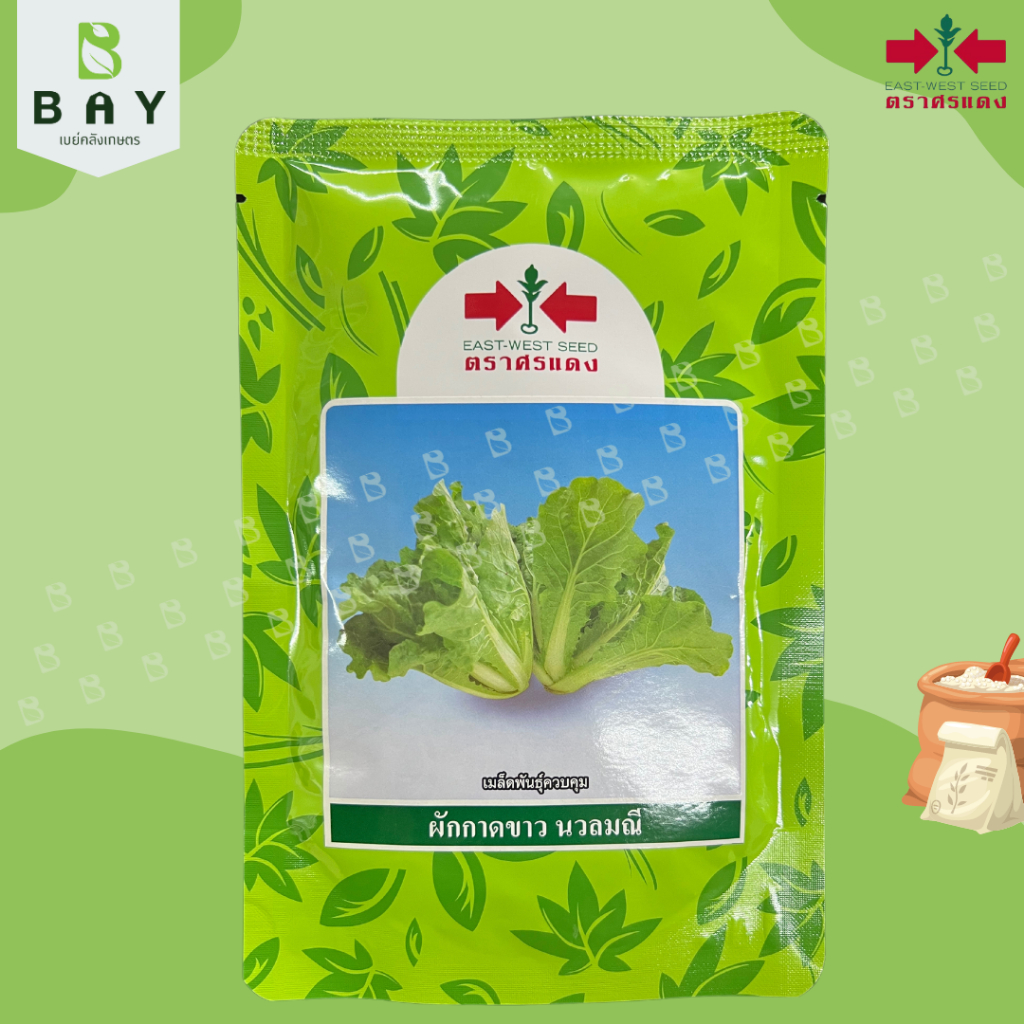 ผักกาดขาว นวลมณี (80g.) ตราศรแดง เมล็ดพันธุ์ซองใหญ่ ปลูกง่าย โตไว รับรองคุณภาพ เมล็ดผักของแท้