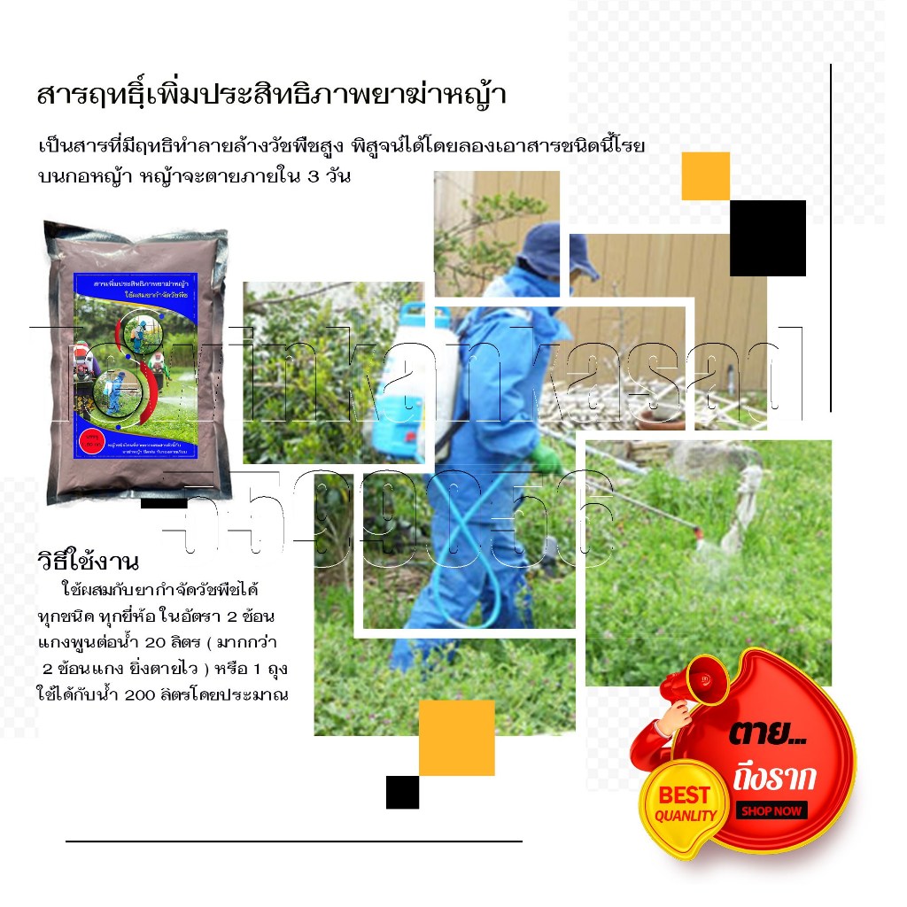 สารเพิ่มประสิทธิภาพยาฆ่าหญ้าใช้ผสมกับยาฆ่าได้ทุกชนิดทำให้เพิ่มประสิทธิภาพ สารเร่งดูดซึม หญ้า ตายเร็วหมดปัญหาวัชพืชดื้อยา
