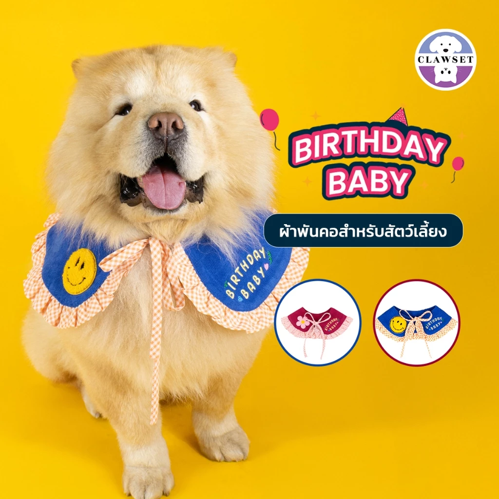 ผ้าผูกคอสัตว์เลี้ยง Birthday Baby Collar ผ้าพันคอสำหรับหมาแมว ปาร์ตี้วันเกิด | CLAWSET.BKK