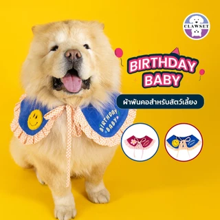 ผ้าผูกคอสัตว์เลี้ยง Birthday Baby Collar ผ้าพันคอสำหรับหมาแมว ปาร์ตี้วันเกิด | CLAWSET.BKK